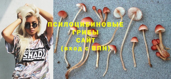 кокс Алексеевка
