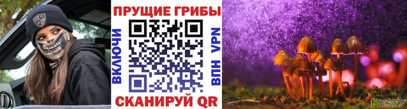 Купить закладки  Шали  Псилоцибиновые грибы Magic Shrooms 